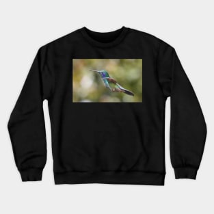 Green Violetear Hummingbird Crewneck Sweatshirt